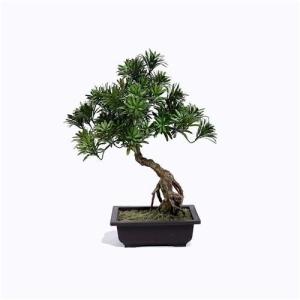 Quality Ideal Imitation Bonsai Trees Rejuvenating Lush Fronds For Harried Modern Lifestyle wholesale