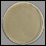 Natural No Additives Amino Acid Powder Fully Water Soluble