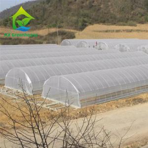 Quality Hydroponic Tropical Area Polytunnel Greenhouse With Climate Control wholesale