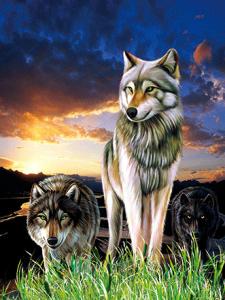 Quality 0.6mm PET+157g Coated Paper 3D Lenticular Pictures / 3D Lenticular Wall Art wholesale