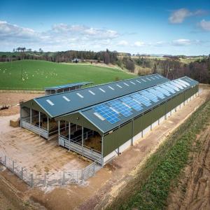 Quality Painted Steel Structure Poultry House wholesale