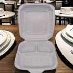 Biodegradable Disposable Food Container Durable Square Plastic Lunch Boxes with
