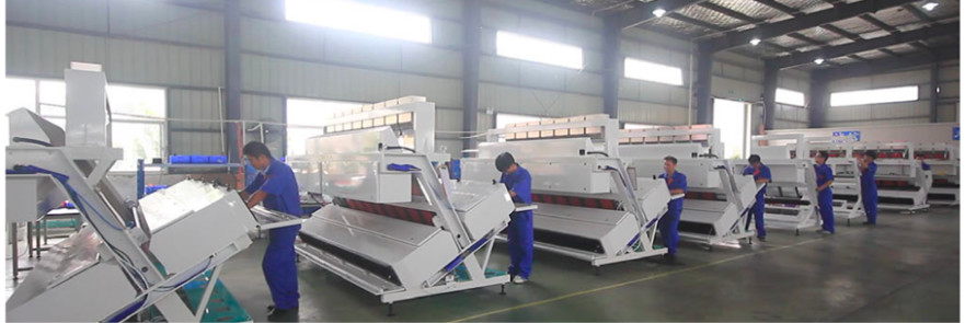 Intelligent RGB Belt Color Sorter , 128 Channels Color Sorting Equipment