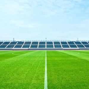 Quality Fire Retardant Artificial Grass Soccer Field / Plastic Fake Grass Football Field wholesale