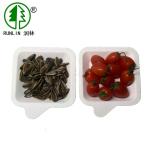 Biodegradable bagasse pulp disposable birthday party dishes