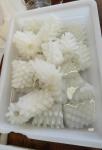 Fixed Weight Fresh Frozen squid flower (Dosidicus Gigas)