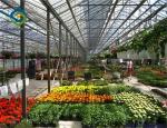 Impact Resistant 12m Polycarbonate Greenhouse For Farm