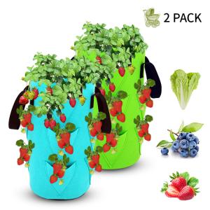 Quality Nonwoven Fabric Strawberry Grow Bag Plant Pots wholesale