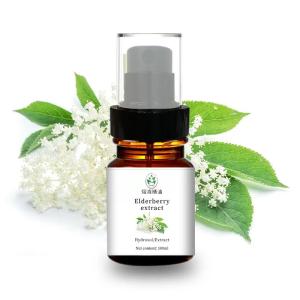 Quality Natural Hydrosol Organic Elderberry Extract Muscle Soreness Relief wholesale
