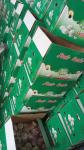 China fresh garlic export to Brazil By pioneer garlic group. 5.5-6.0cm loose