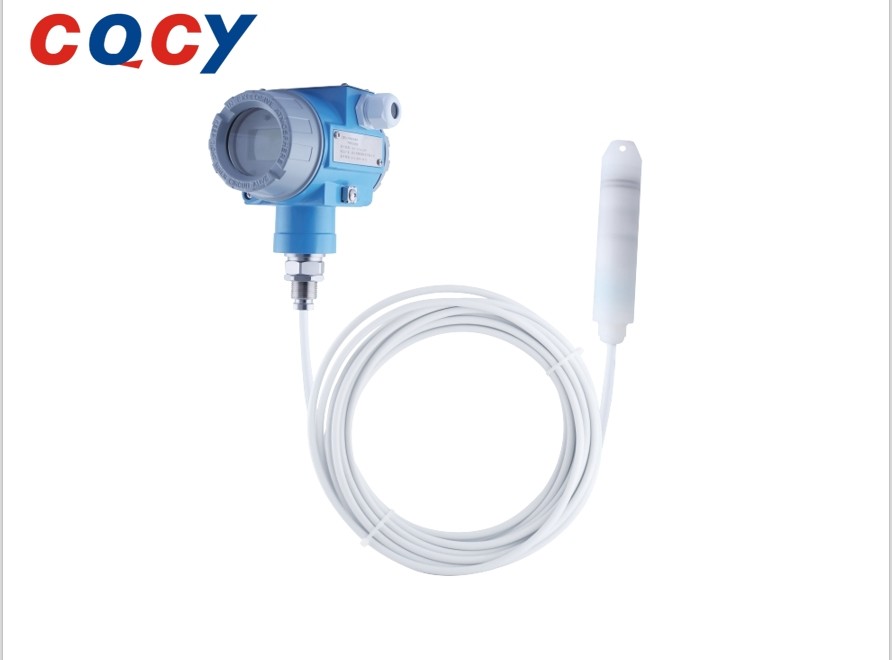 CYW71C Anti-corrosion type input Liquid level transmitter (Measurement of a corrosive liquid/4~20mA, hart, RS485