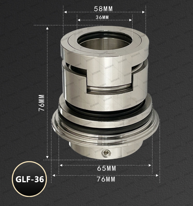 BERGMAN Replace Grundfos GLF-22mm Hexagon CR CRN CRI Pump Mechanical Seal HQQV HQQE 96525490 96525458