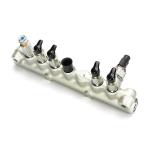 VH23810E0060 Common Rail Assembly