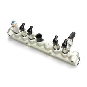 Quality VH23810E0060 Common Rail Assembly wholesale