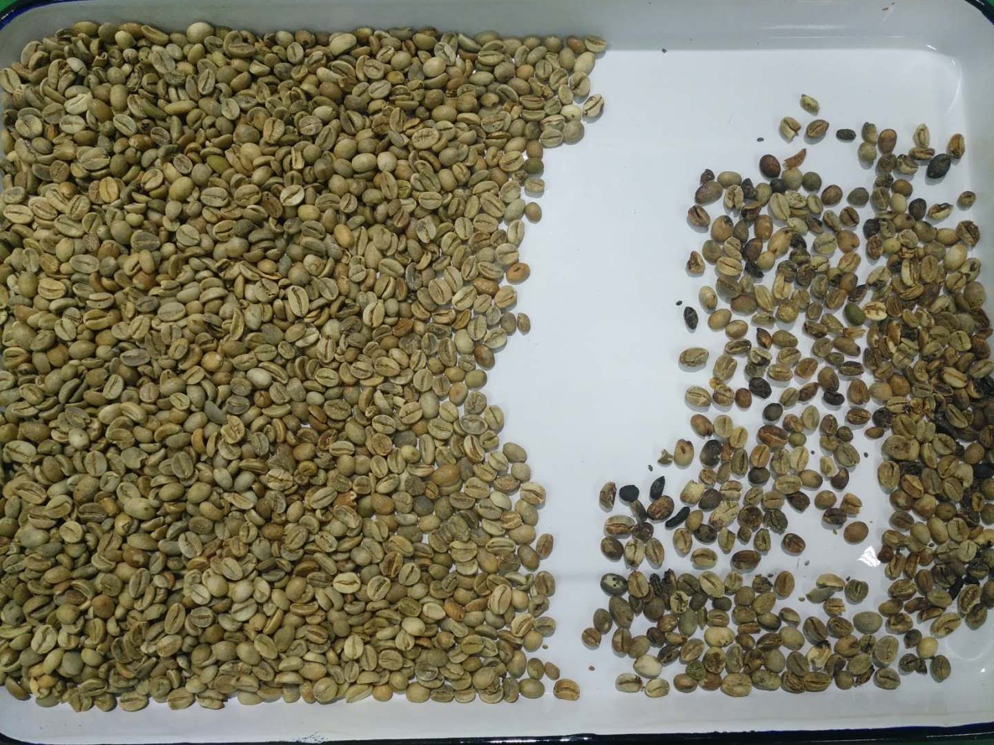 WENYAO CCD Optical Rice Grain Wheat Color Sorter 2 Years Warranty