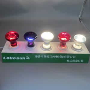Quality White Blue Red Repti Basking Spot Lamp 75W Basking Bulb For Bearded Dragon wholesale