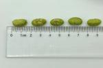 Halal Certificate Bean Snacks Roasted Salted Green Soybeans Edamame OEM