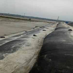 Quality 120/120KN Strengh Dewatering Geotextile Tubes Anti UV PP Dewatering Filter Bag wholesale