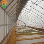 Hydroponic Greenhouse System for High Strength Solar Greenhouse and Vegetable