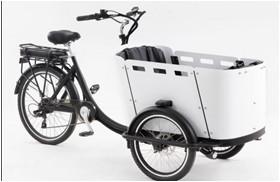 Quality 250W Kid / Cargo Electric Delivery Tricycle With Canopy wholesale