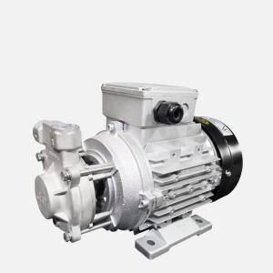 Quality 150 PSI Maximum Pressure Magnetic Sealless Centrifugal Pump For Temperature Applications wholesale