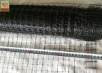 Black Plastic Chicken Netting , Plastic Poultry Netting, Plastic Poultry Fence,
