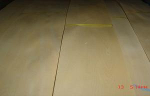 Quality Golden Birch Hard Crown Cut Veneer For Edge Banding And Plywood wholesale
