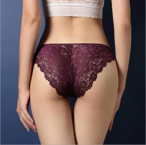 Quality N3004 Factory Wholesale Women Luxury Sheer Lace Low Waist Underwear wholesale
