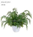 Simulated Fake Fern Tree , Fake Outdoor Ferns Easy To Care With Ceramic Like Pot