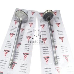 Quality Inlet And Exhaust Valve 04509353 04509354 0450 9353 0450 9354 4509353 4509354 For Deutz BF6M1013 Engine wholesale