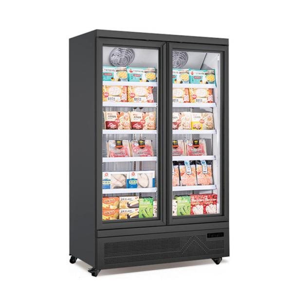 -22C Commercial upright dynamic cooling double 2 glass door freezer showcase ice
