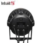 60 PCS X 12W RGBW 4 In 1 LED Waterproof Par Light IP65 Outdoor Architectural