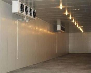 Pharmaceutical Food Cold Storage Panel Manufacturer Polyurethane Polystyrene