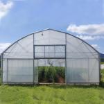 Agriculture High Tunnel Film Roller Clear Greenhouse Cover Plastic Film Single