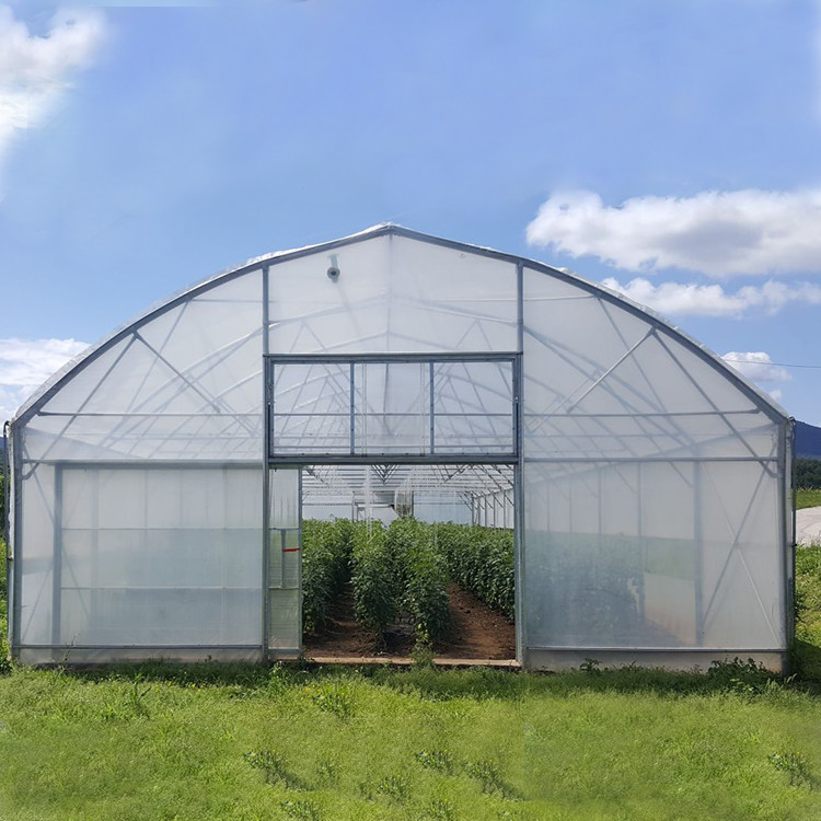 Agricultural Plastic Tunnel Greenhouse Hoop Greenhouse For Growing Vegetable