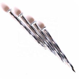 Quality Customized Small Electro Galvanized Nails Steel Concrete Nail wholesale
