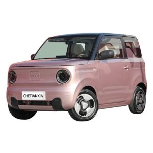 Quality Automotive Used Mini EV Cars Electric Vehicles Geely Panda For Adult wholesale