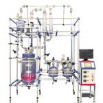 100L 200L 500L Jacketed Glass Reactor Double Layer Customize