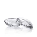 Shell Shape Creative Kitchen Tabletop Wholesale Factory Price High Quality Clear