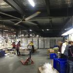 5.5m 18FT HVLS Ceiling Fan For Restaurant Direct And Manufacturing Plant High