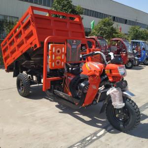 Quality Double Girder 2.55*1.4m Cargo Tricycle Motorcycle wholesale