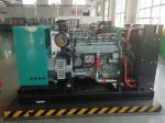 IP23 Protection Class Gas Generator Set 10kw 1000kw for Electric Power