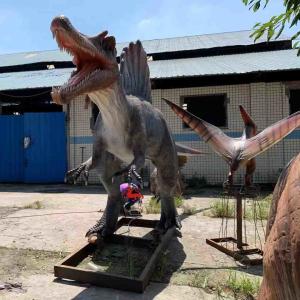 Quality Exhibitions Realistic Animatronic Dinosaur 6m Spinosaurus Model wholesale