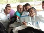 USB Diagnostic Ultrasound Equipment With OB Software For Animals And 100 Images