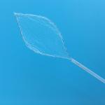 Chinese Medical Disposable Loop Net of surgical instruments