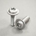 Stainless Steel Gray Dacromet Truss Head Torx Screw Customizable and Versatility