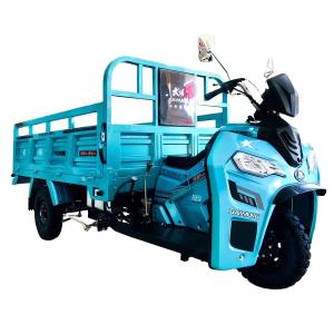 Quality Cargo Transportation 200cc Tricycle with Engine and 50*100 Chassis in Cote d'Ivoire wholesale
