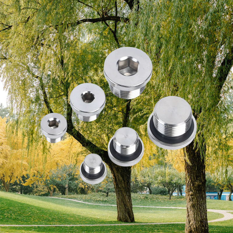 10mm ALLOY Stainless Steel Hexagon Socket Pipe Plug Screw Din908 with ZINC Treatment Protection Guaranteed by 10-