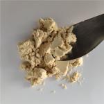 Hot Sale Medicine Grade Labisia Pumila Extract