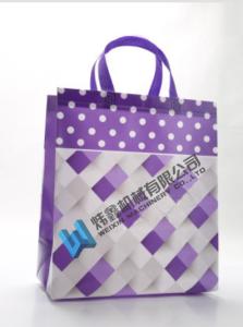 Quality High Quality Custom Printing Recyclable Laminated PP Non Woven Bag wholesale